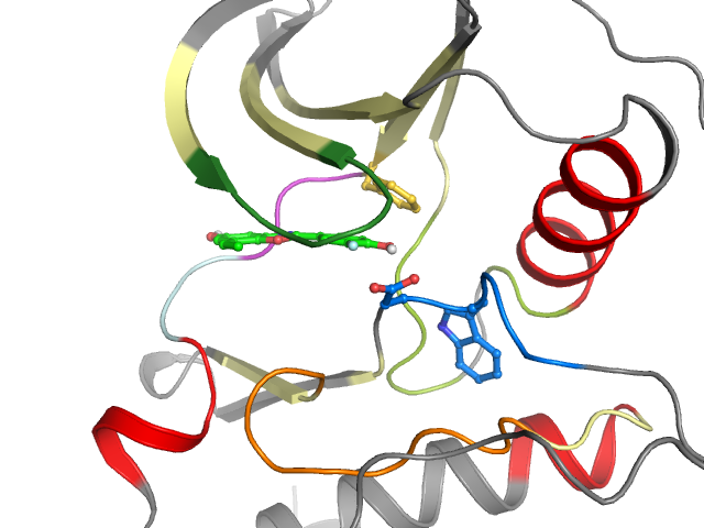 The orthosteric binding pocket