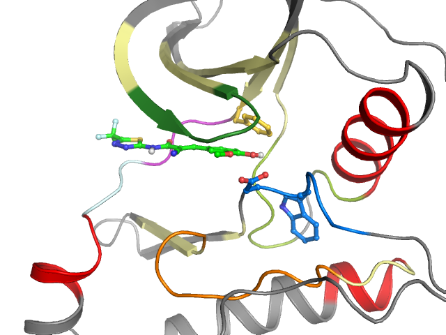 The orthosteric binding pocket