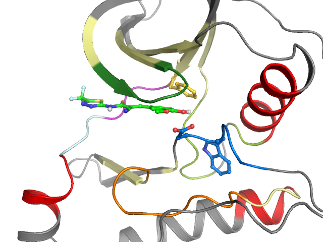 The orthosteric binding pocket