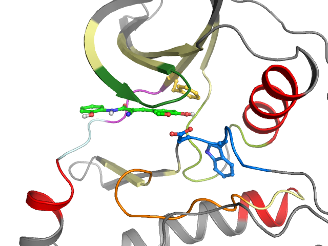 The orthosteric binding pocket