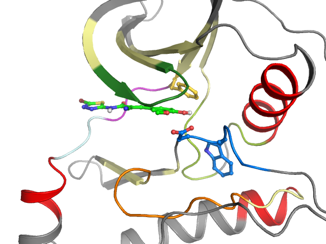 The orthosteric binding pocket