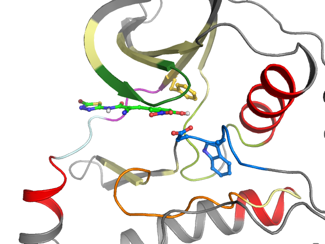 The orthosteric binding pocket