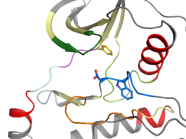 The orthosteric binding pocket
