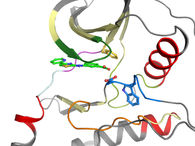 The orthosteric binding pocket