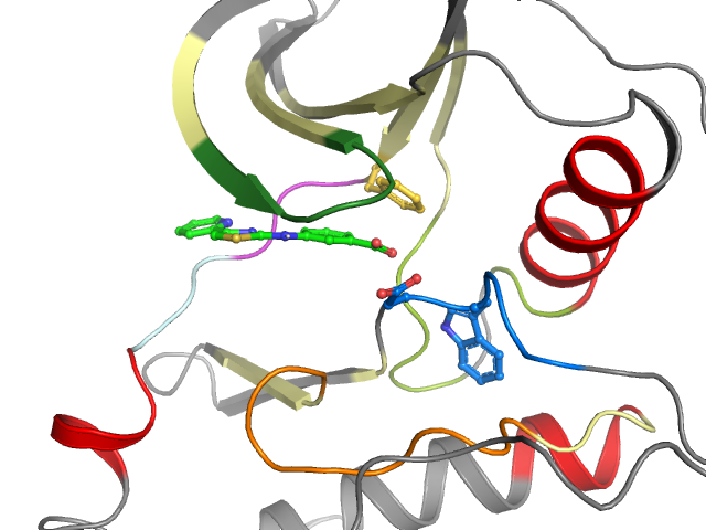The orthosteric binding pocket