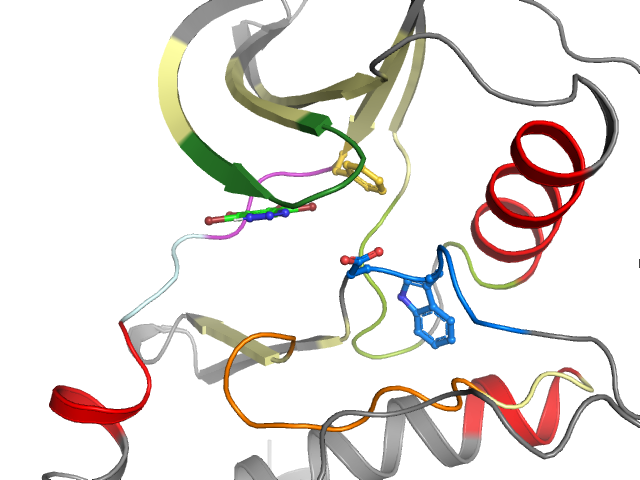 The orthosteric binding pocket
