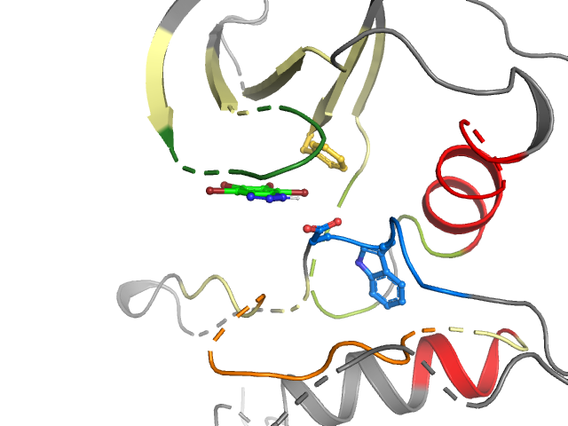 The orthosteric binding pocket