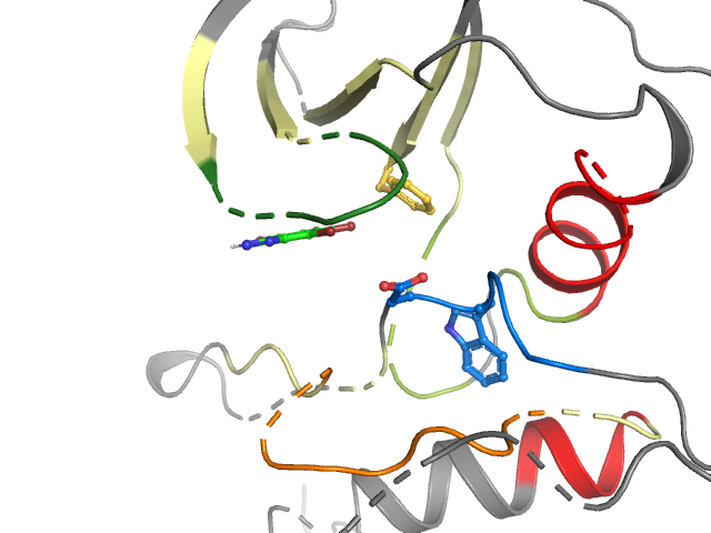 The orthosteric binding pocket