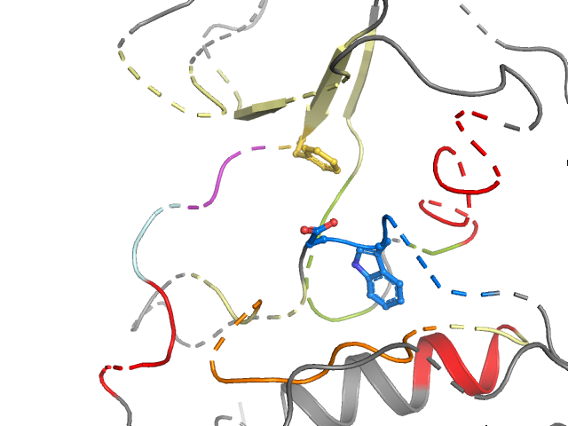 The orthosteric binding pocket