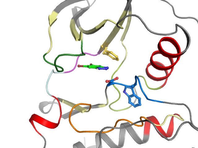 The orthosteric binding pocket