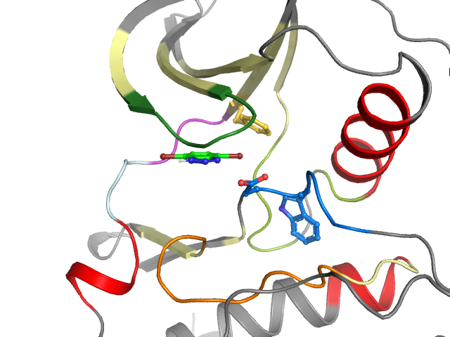 The orthosteric binding pocket