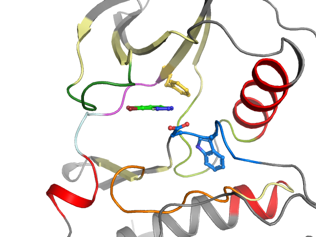 The orthosteric binding pocket