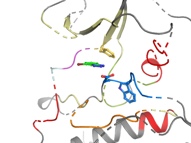 The orthosteric binding pocket