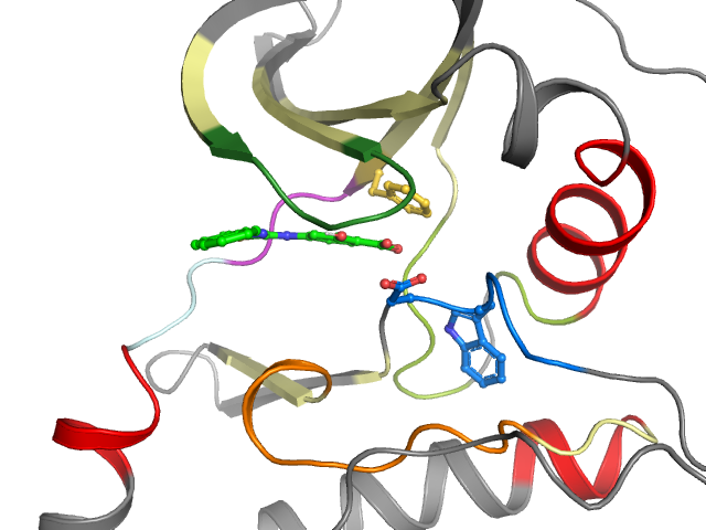 The orthosteric binding pocket