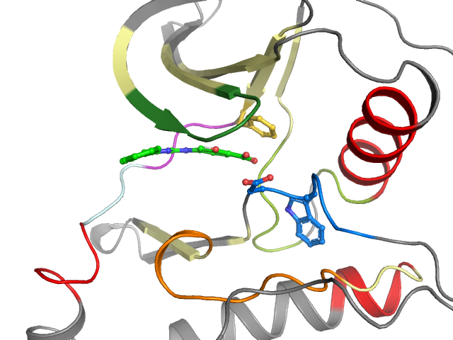 The orthosteric binding pocket