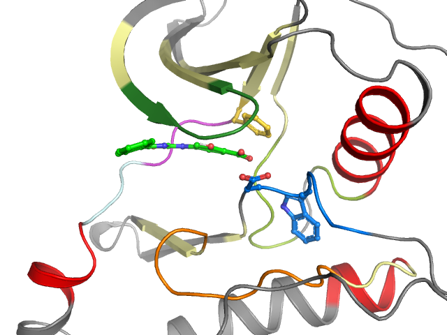 The orthosteric binding pocket