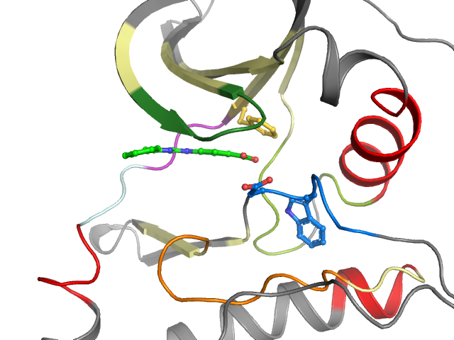 The orthosteric binding pocket