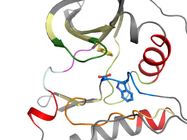 The orthosteric binding pocket