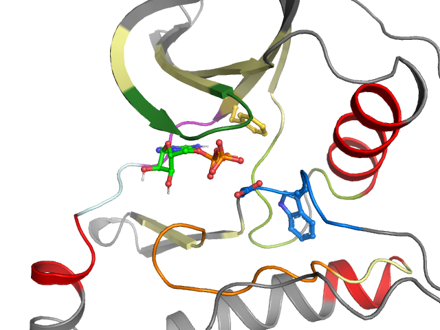 The orthosteric binding pocket