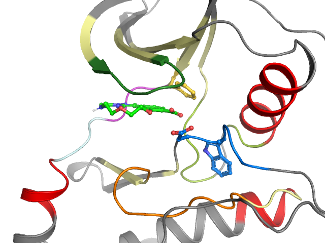 The orthosteric binding pocket