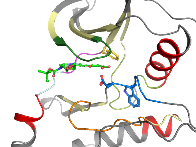 The orthosteric binding pocket