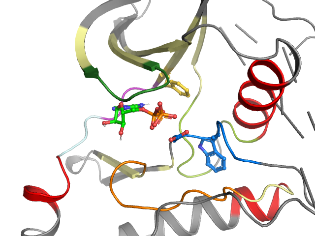 The orthosteric binding pocket