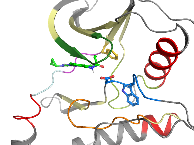 The orthosteric binding pocket