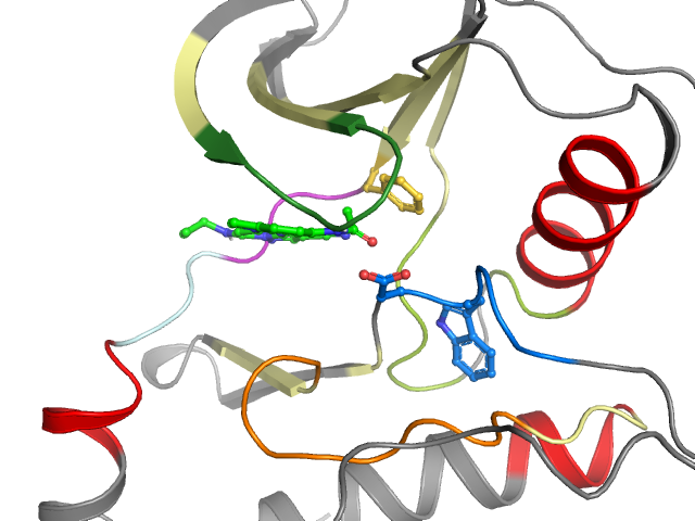 The orthosteric binding pocket