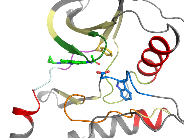 The orthosteric binding pocket