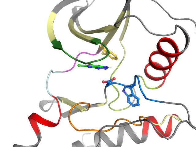 The orthosteric binding pocket