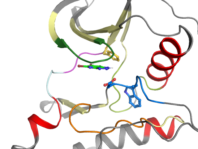 The orthosteric binding pocket