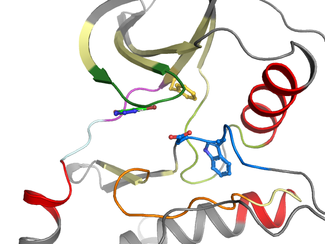 The orthosteric binding pocket