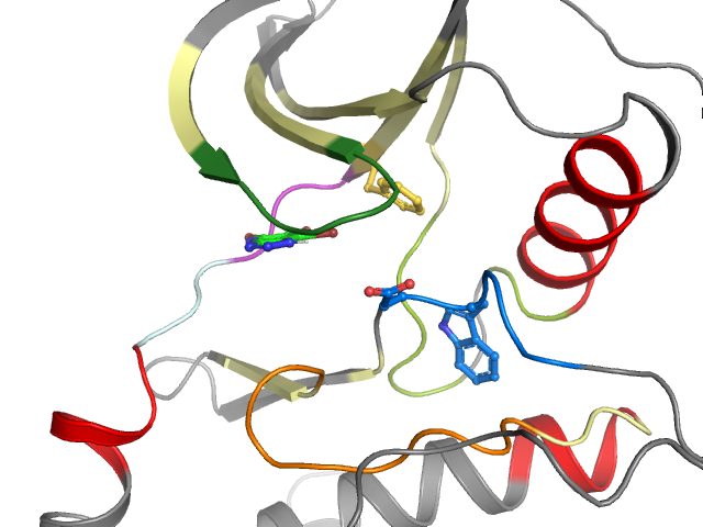 The orthosteric binding pocket