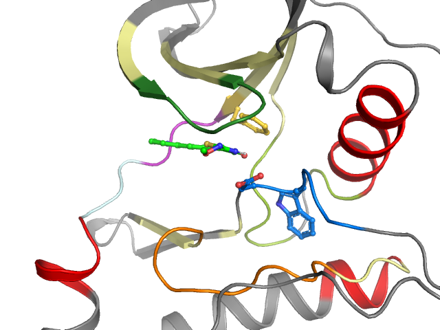 The orthosteric binding pocket