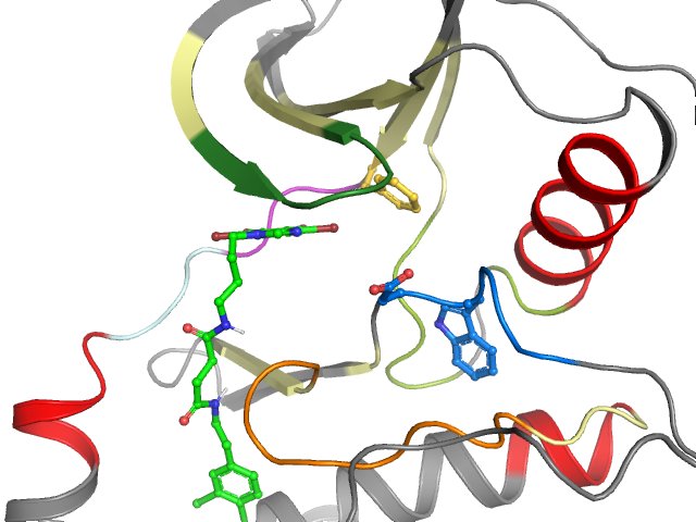 The orthosteric binding pocket