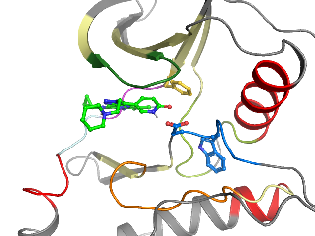 The orthosteric binding pocket