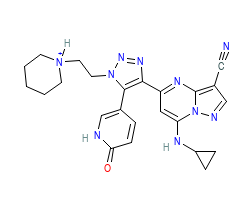 2D structure of the orthosteric ligand