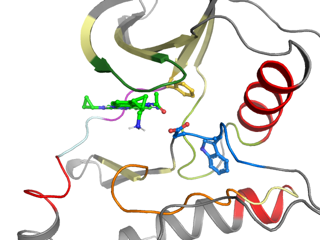 The orthosteric binding pocket