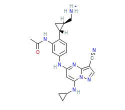 2D structure of the orthosteric ligand