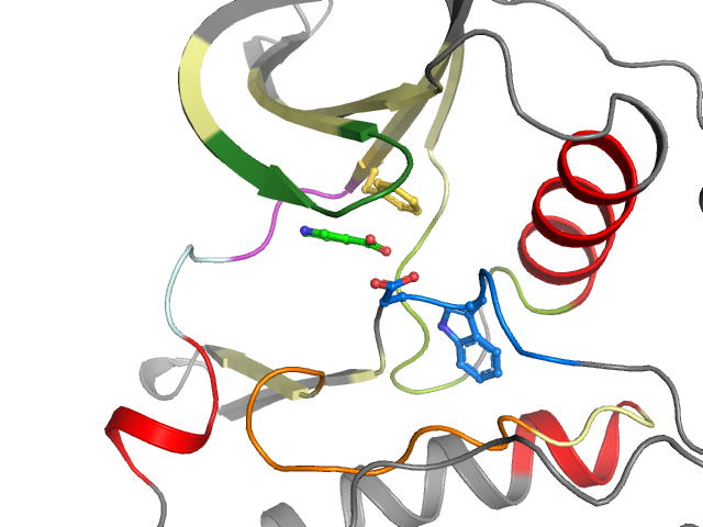 The orthosteric binding pocket