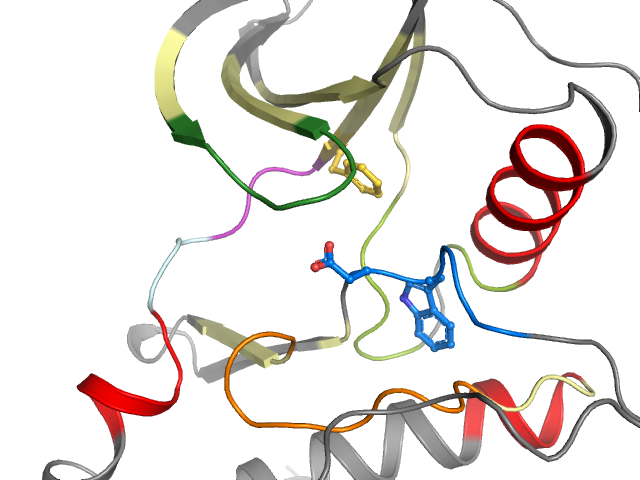 The orthosteric binding pocket