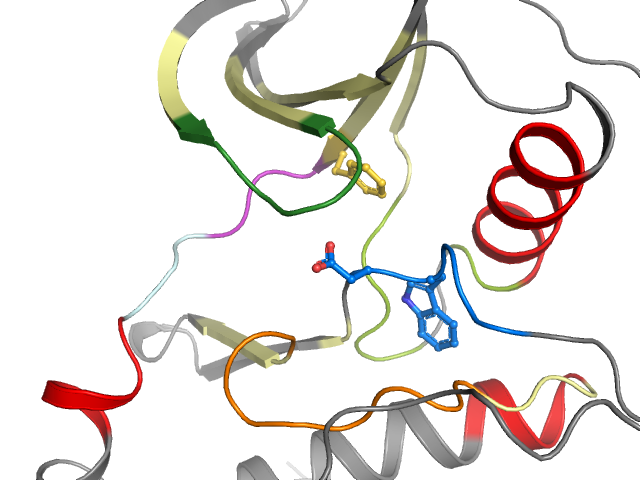 The orthosteric binding pocket