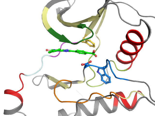The orthosteric binding pocket