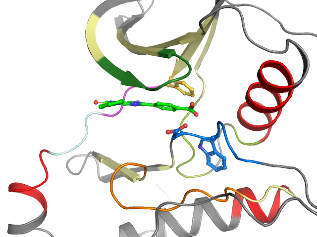 The orthosteric binding pocket