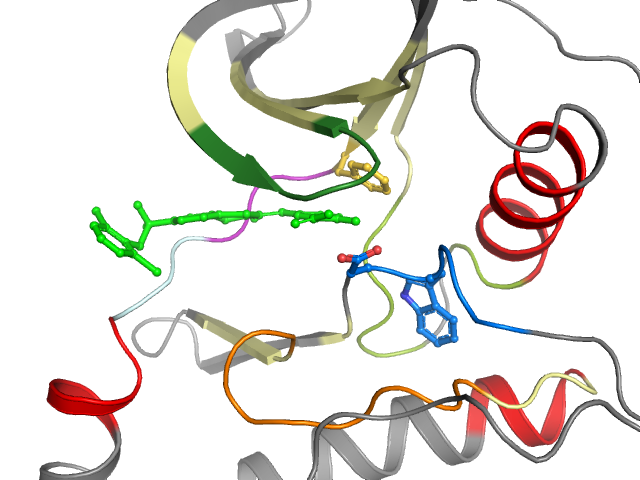 The orthosteric binding pocket