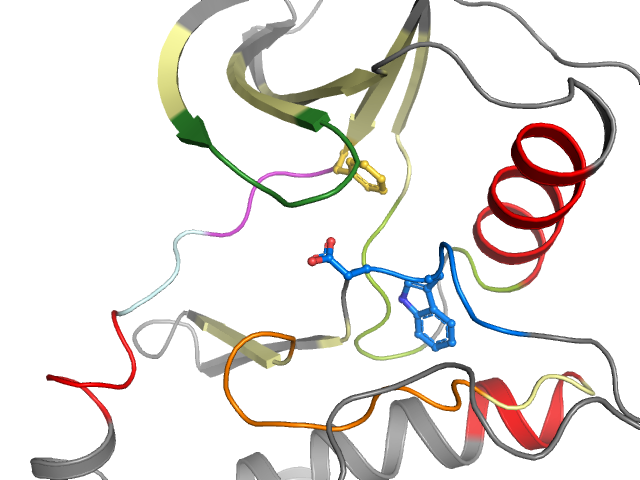The orthosteric binding pocket