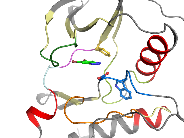 The orthosteric binding pocket