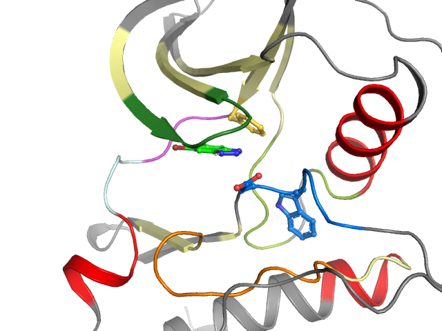 The orthosteric binding pocket