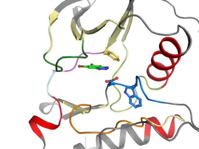 The orthosteric binding pocket