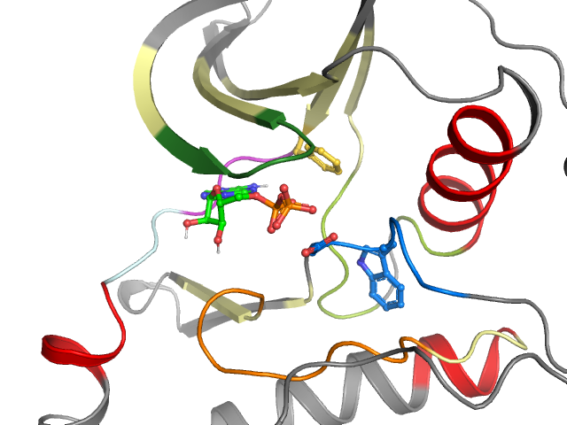 The orthosteric binding pocket